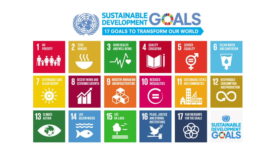 SDG.png